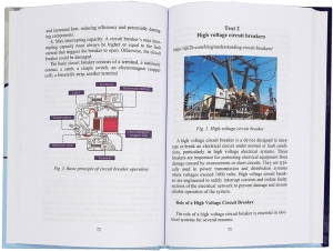 Английский язык в сфере релейной защиты и автоматики и оперативно-диспетчерского управления