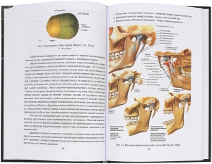 Краниология