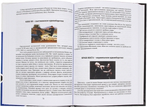 Основные виды единоборств. Справочник