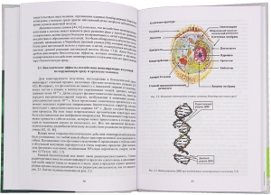 Социально-экономические и радиационно-экологические аспекты строительства АЭС в Федеративной Республике Нигерия
