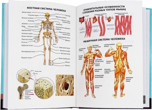 Справочник терминологический по внутренним болезням
