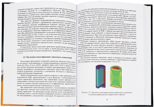 Осесимметричное трехосное сжатие в практике инженерных изысканий. 2-е изд.
