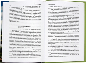 Соль земли. Рассказы